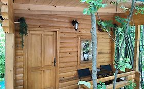 Still Cabin