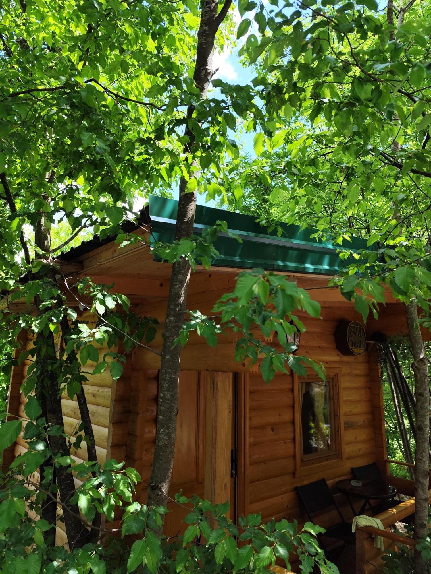 Still Cabin Cetinje Exterior foto